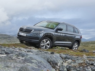 Skoda Kodiaq I 2016, 2017, 2018, 2019, 2020, 2021, 2022 годов выпуска